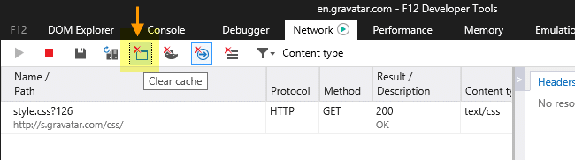 ie cache clear for particular website