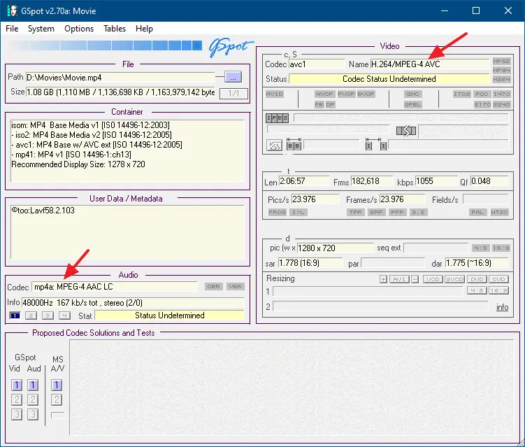 gspot - identify codecs used in video