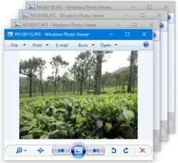 windows photo viewer multiple windows