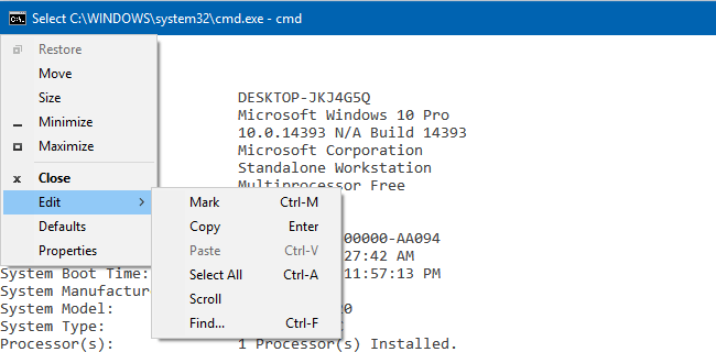 copy command prompt output