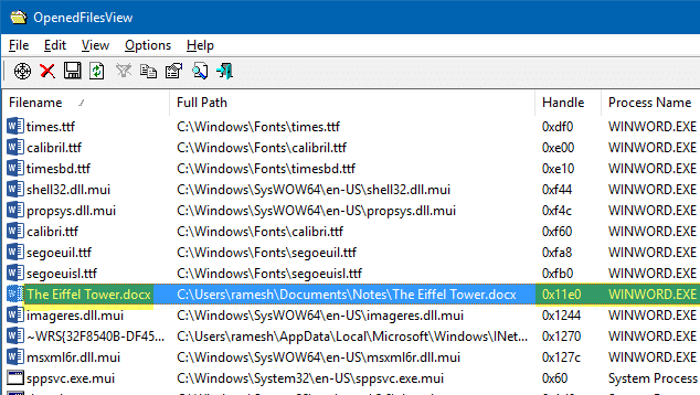 Find Which Process Has Locked a File