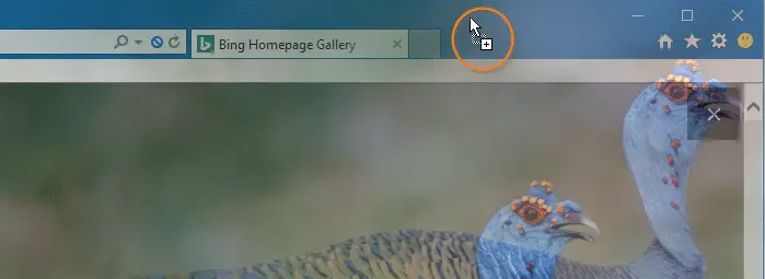 Bing images without watermark