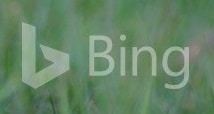 Bing gallery watermark
