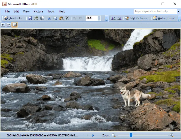 microsoft office picture manager 2010 free download for mac microsoft office picture manager 2010 free download for mac