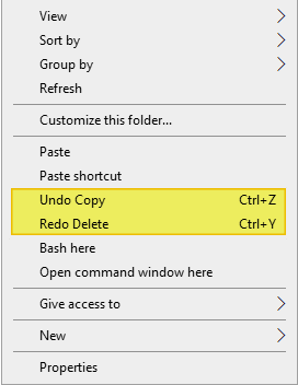 disable undo and redo in explorer shell