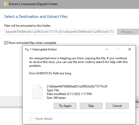 zip file error extract 80010135