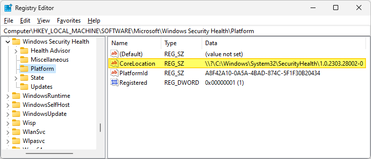 securityhealth corelocation registry value