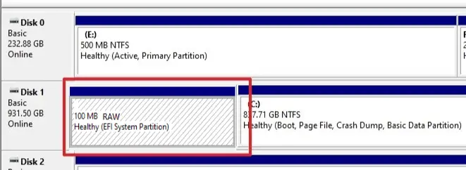 EFI partition shows as RAW