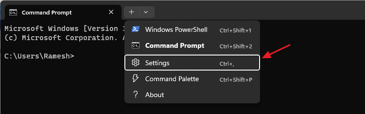 set default terminal settings - Windows Terminal settings