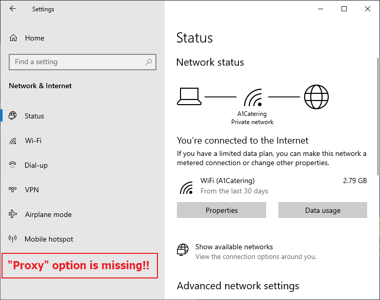 proxy section missing in network & internet settings